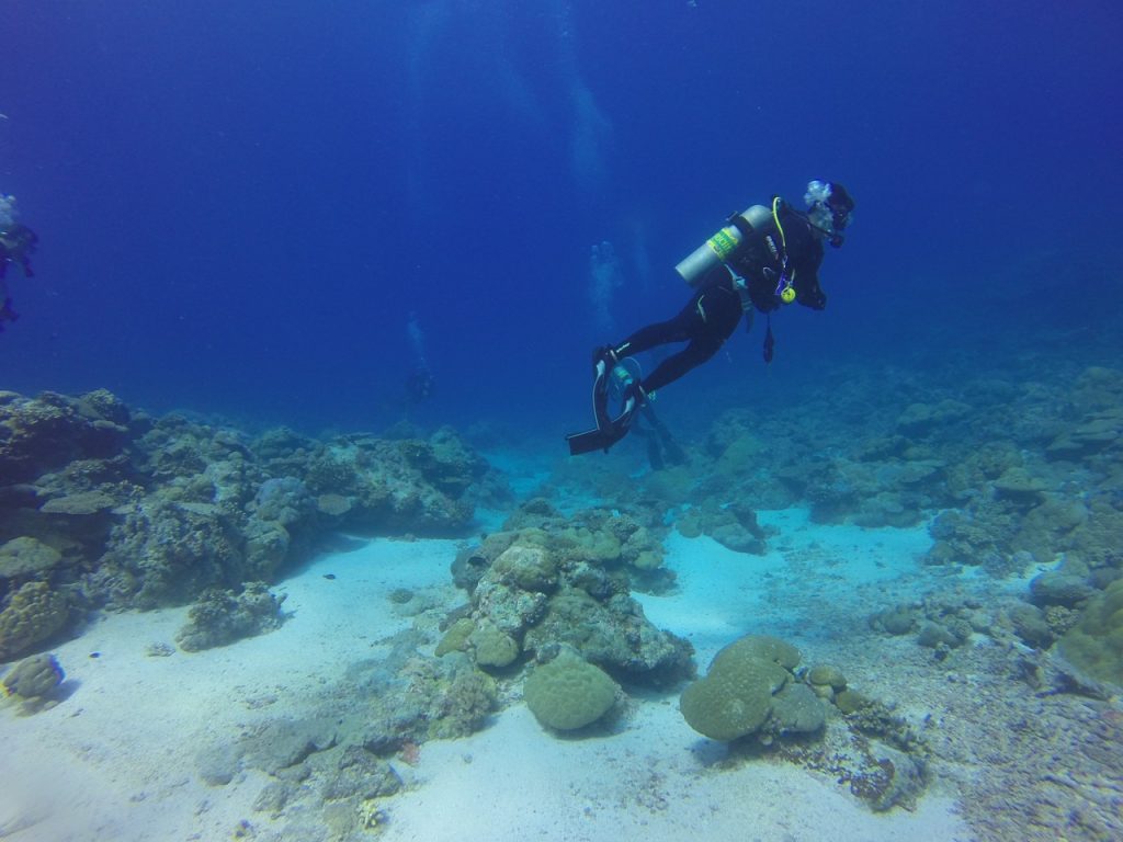 What are the top travel destinations for scuba diving?