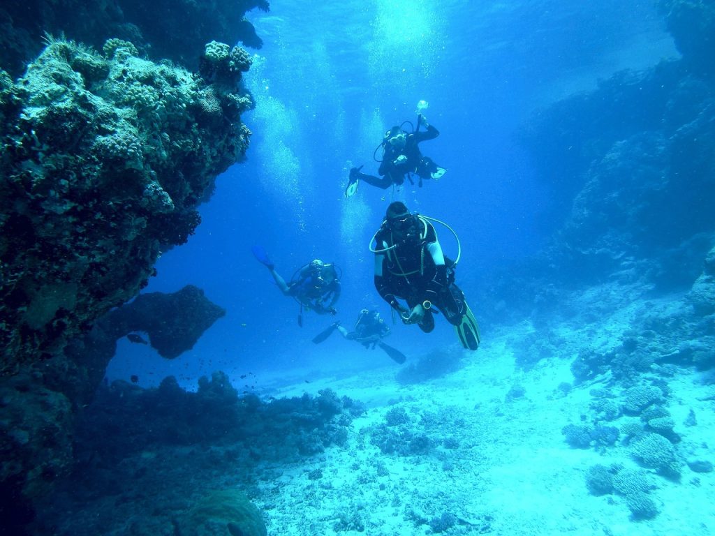 What are the top travel destinations for scuba diving?