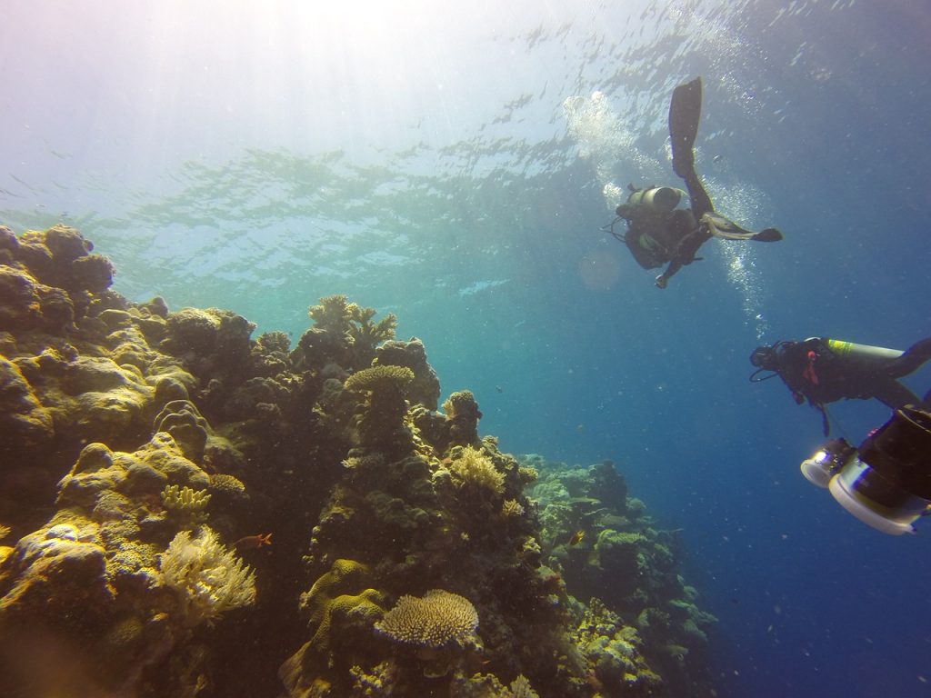 What are the top travel destinations for scuba diving?