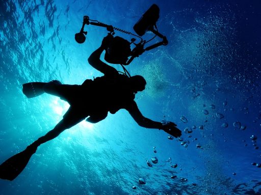 What are the top travel destinations for scuba diving?